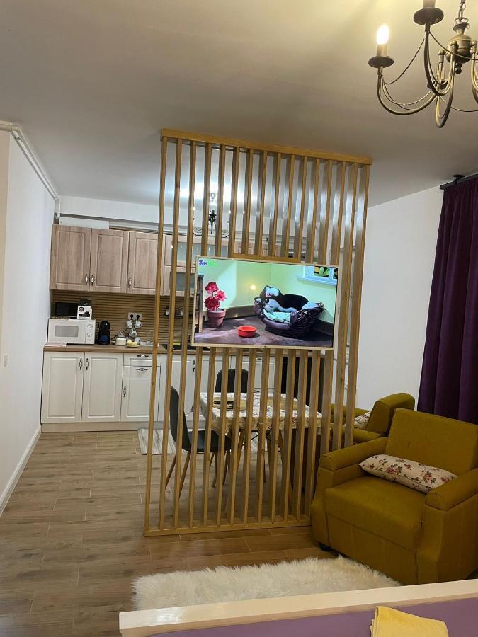 Apartament Gabriela 39 Μπάια Μάρε Εξωτερικό φωτογραφία